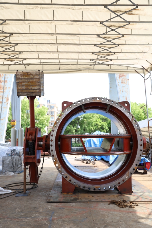 Double-seal butterfly valve with working seal and maintenance seal for hydropower station